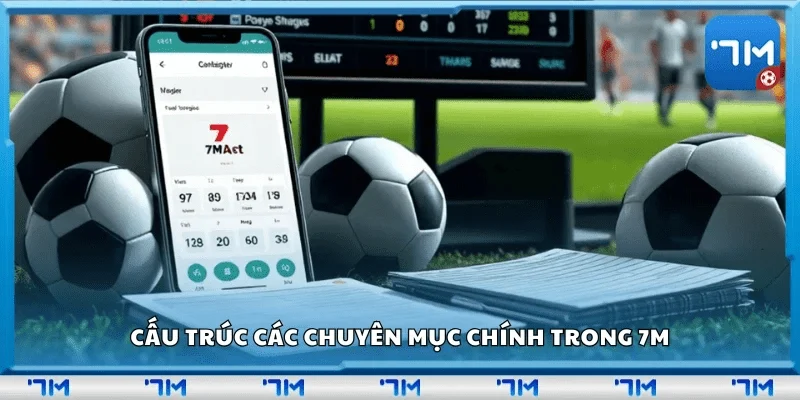 Lý do nên chọn trang cá cược bóng đá 7m
