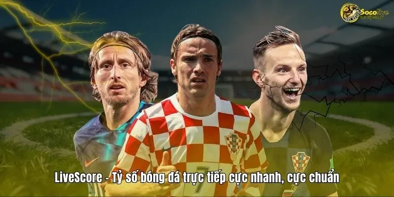 Tại sao Livescore 7m được ưa chuộng